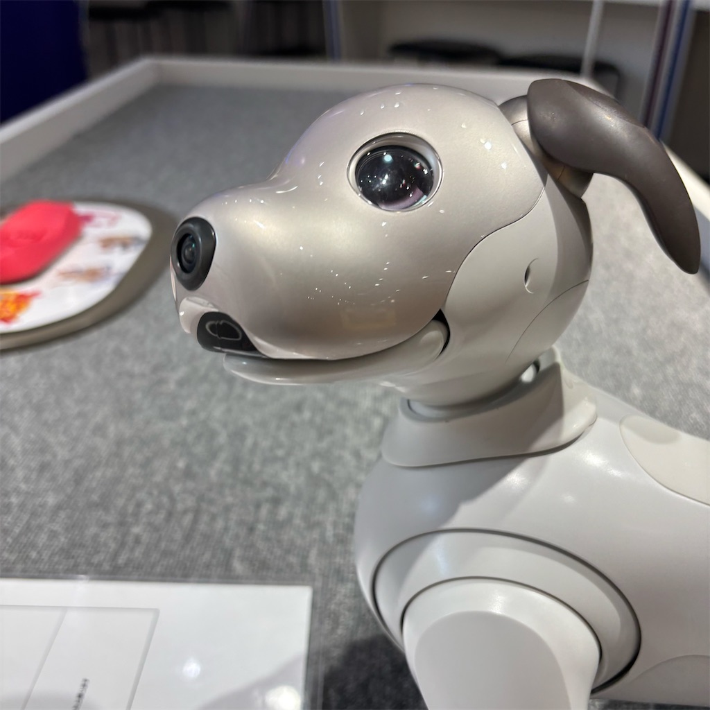 aibo】ロボット犬と遊ぶ - chappy vibes