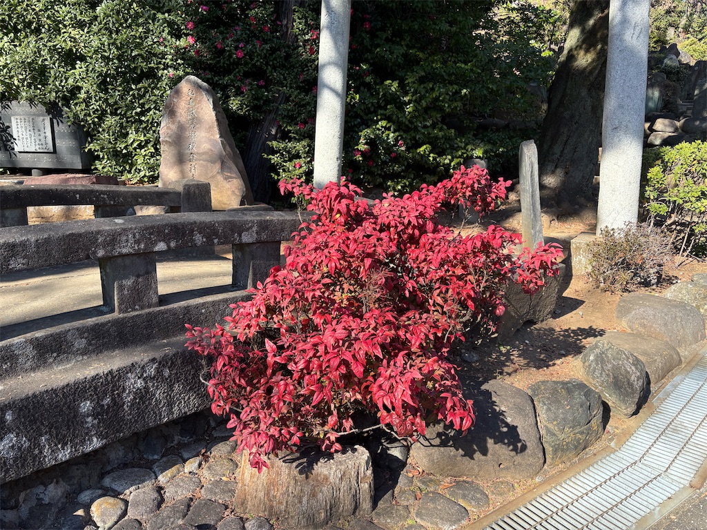 f:id:chappy8:20260215105216j:image