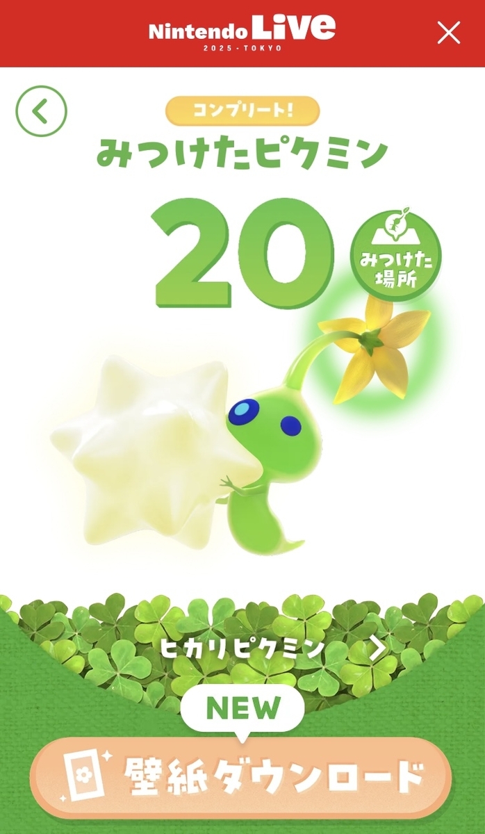 Nintendo Live 2025 TOKYO - さいごのぼうけん