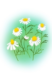 f:id:characterization:20201128182729j:plain