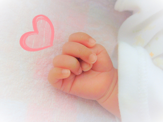 f:id:charanponya:20190221151654j:plain