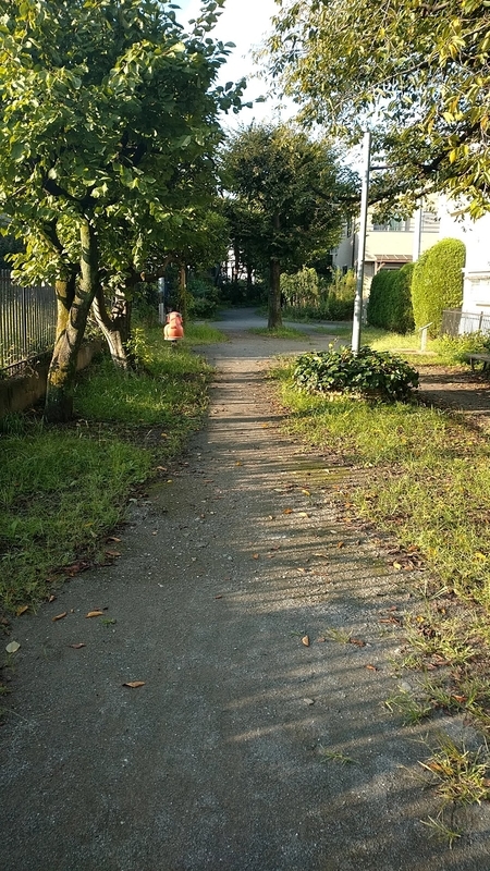 f:id:charanporandaddy:20200927205439j:plain