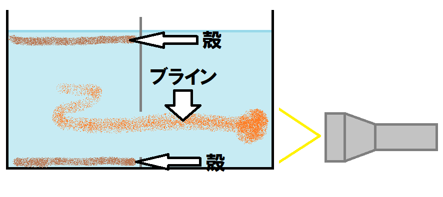 優しい熱帯魚さん 飼育記録から飼い方まで
