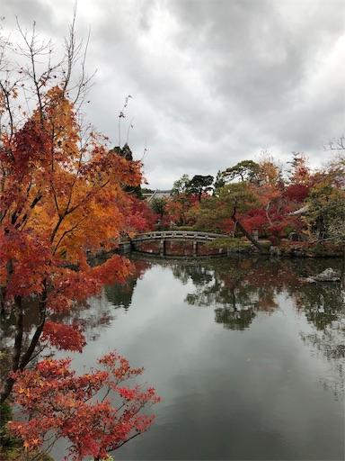 f:id:chari-de-go:20191128230453j:image f:id:chari-de-go:20191128230453j:image