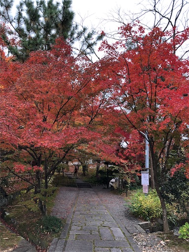 f:id:chari-de-go:20191128231136j:image