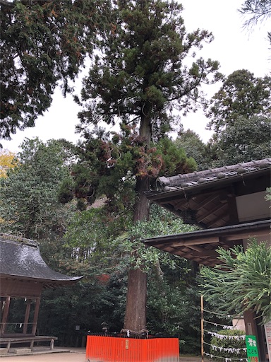 f:id:chari-de-go:20191128231337j:image f:id:chari-de-go:20191128231337j:image