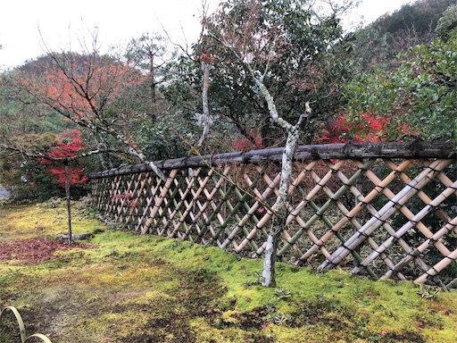 f:id:chari-de-go:20191128232115j:image f:id:chari-de-go:20191128232115j:image