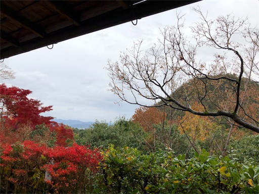 f:id:chari-de-go:20191128232121j:image f:id:chari-de-go:20191128232121j:image