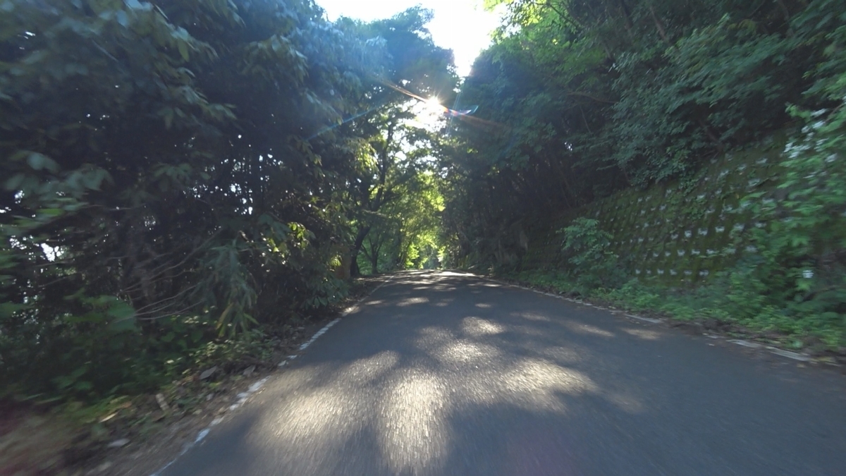f:id:chari_ojisan:20210612145842j:plain