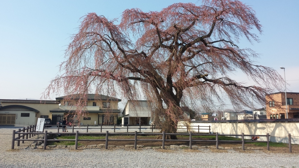 f:id:charinkodiary:20180428191609j:plain f:id:charinkodiary:20180428191609j:plain