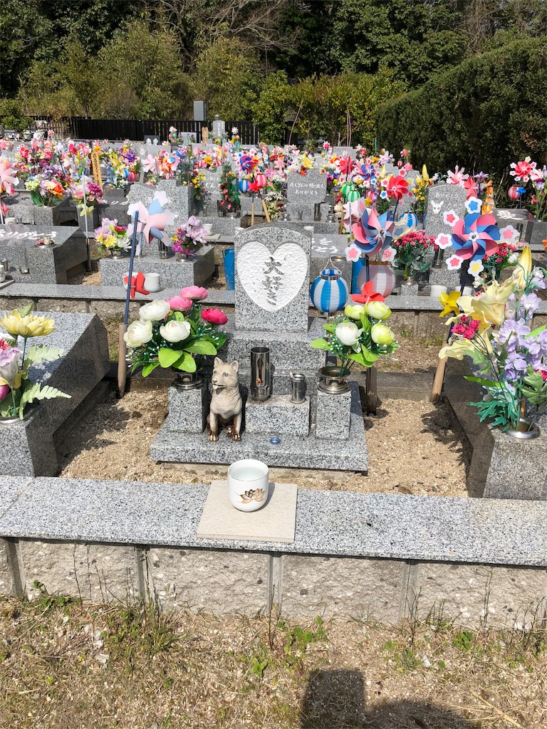 f:id:charinkooyaji:20180331080401j:image f:id:charinkooyaji:20180331080401j:image