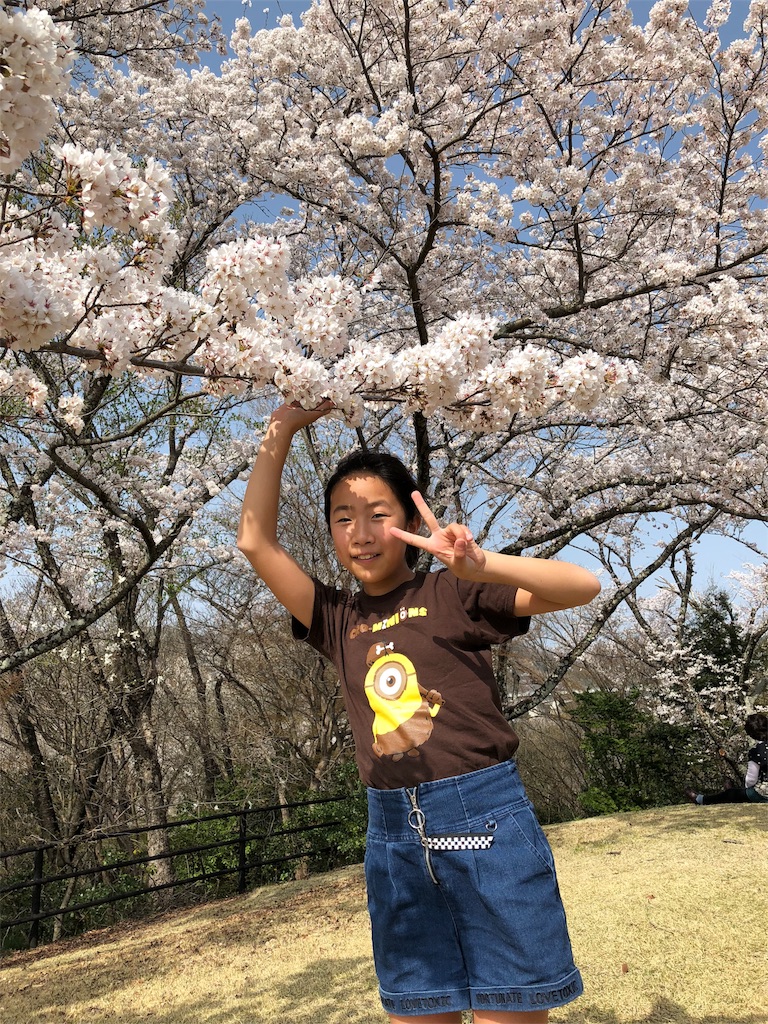 f:id:charinkooyaji:20180331080522j:image f:id:charinkooyaji:20180331080522j:image