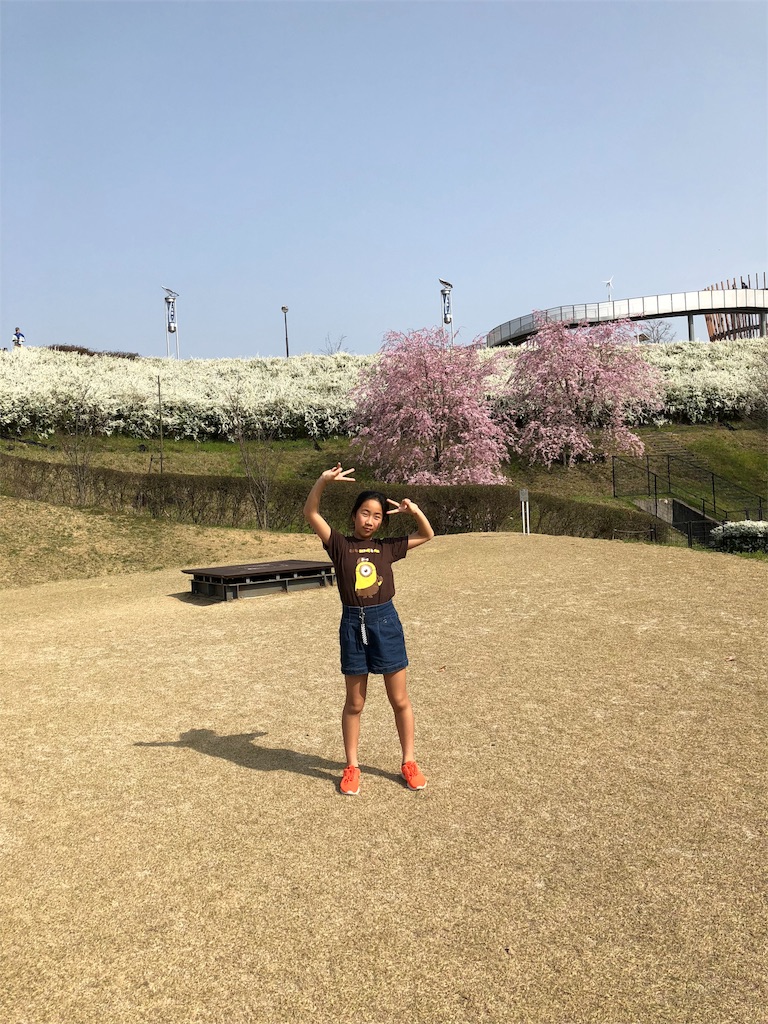 f:id:charinkooyaji:20180331080645j:image f:id:charinkooyaji:20180331080645j:image