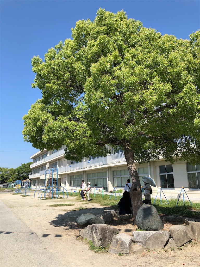 f:id:charinkooyaji:20190525171808j:image
