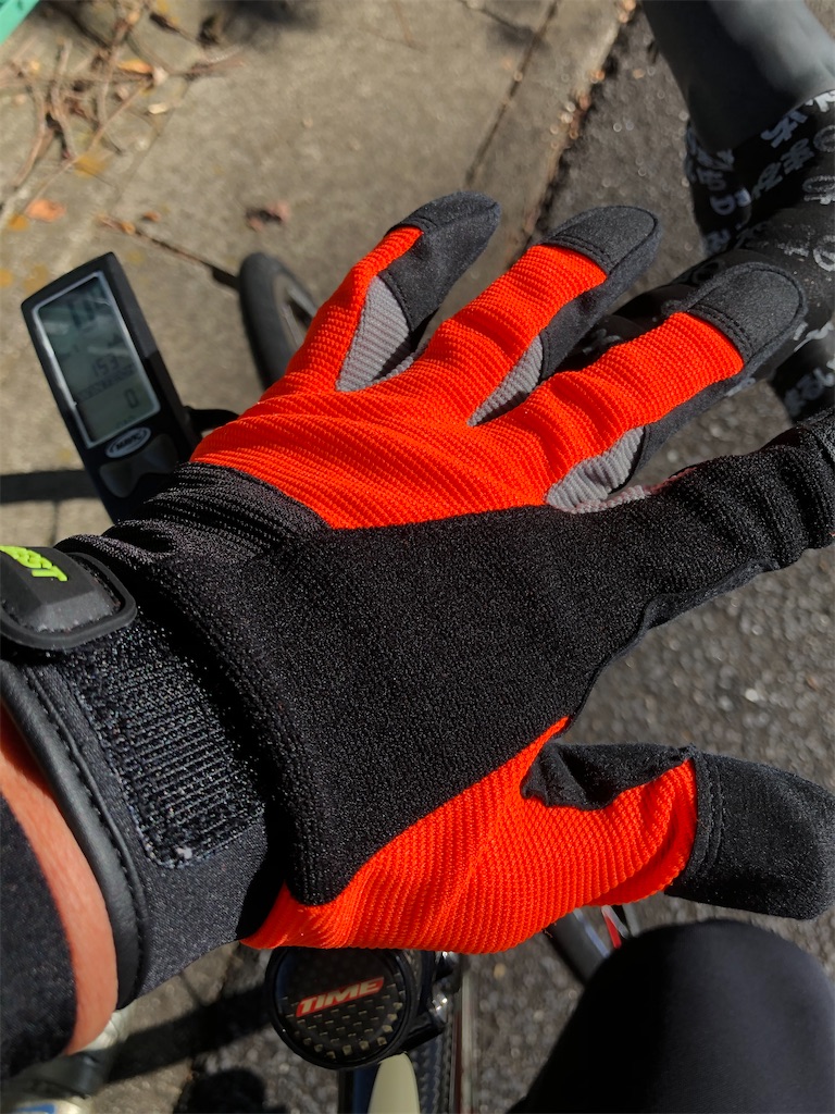 f:id:charinkooyaji:20200927183042j:image