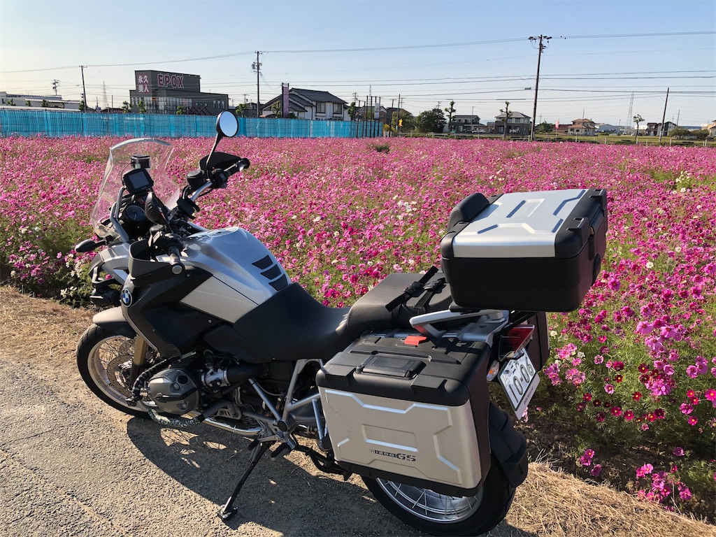 f:id:charinkooyaji:20201102075029j:image