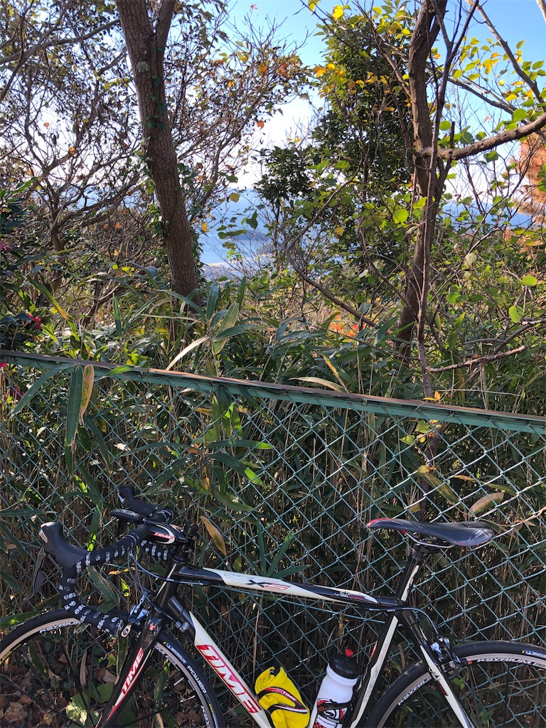 f:id:charinkooyaji:20201123170925j:image