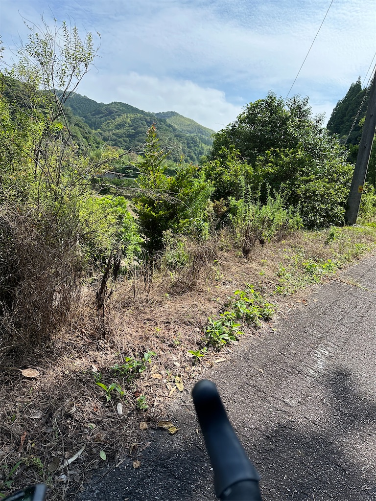 f:id:charinkooyaji:20240622180605j:image f:id:charinkooyaji:20240622180605j:image