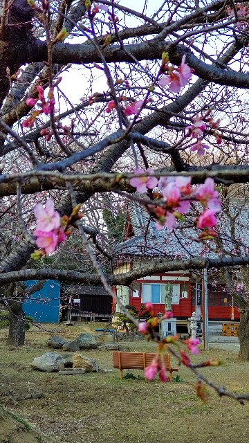 f:id:charinkorie:20220311161129j:image