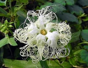 f:id:charis:20140914163028j:image f:id:charis:20140914163028j:image