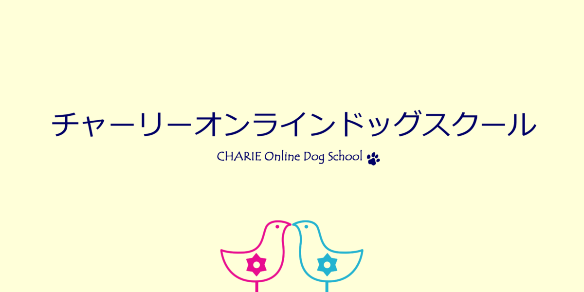 f:id:charliemama3:20190705204254p:plain