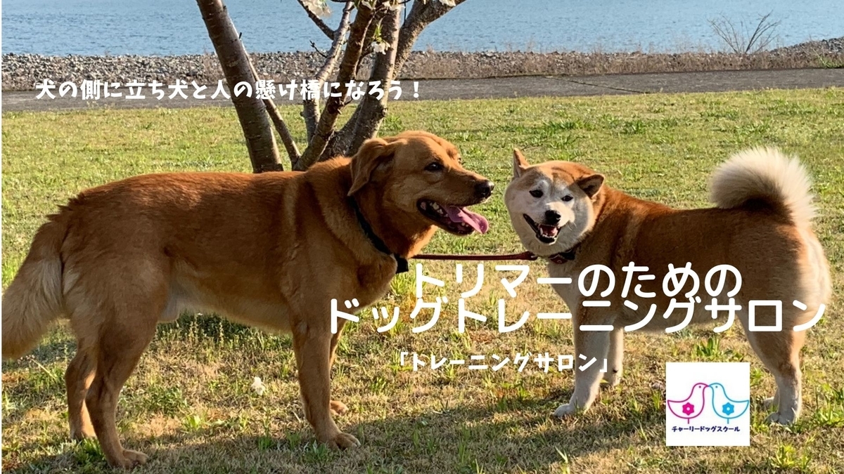 f:id:charliemama3:20190705205756j:plain
