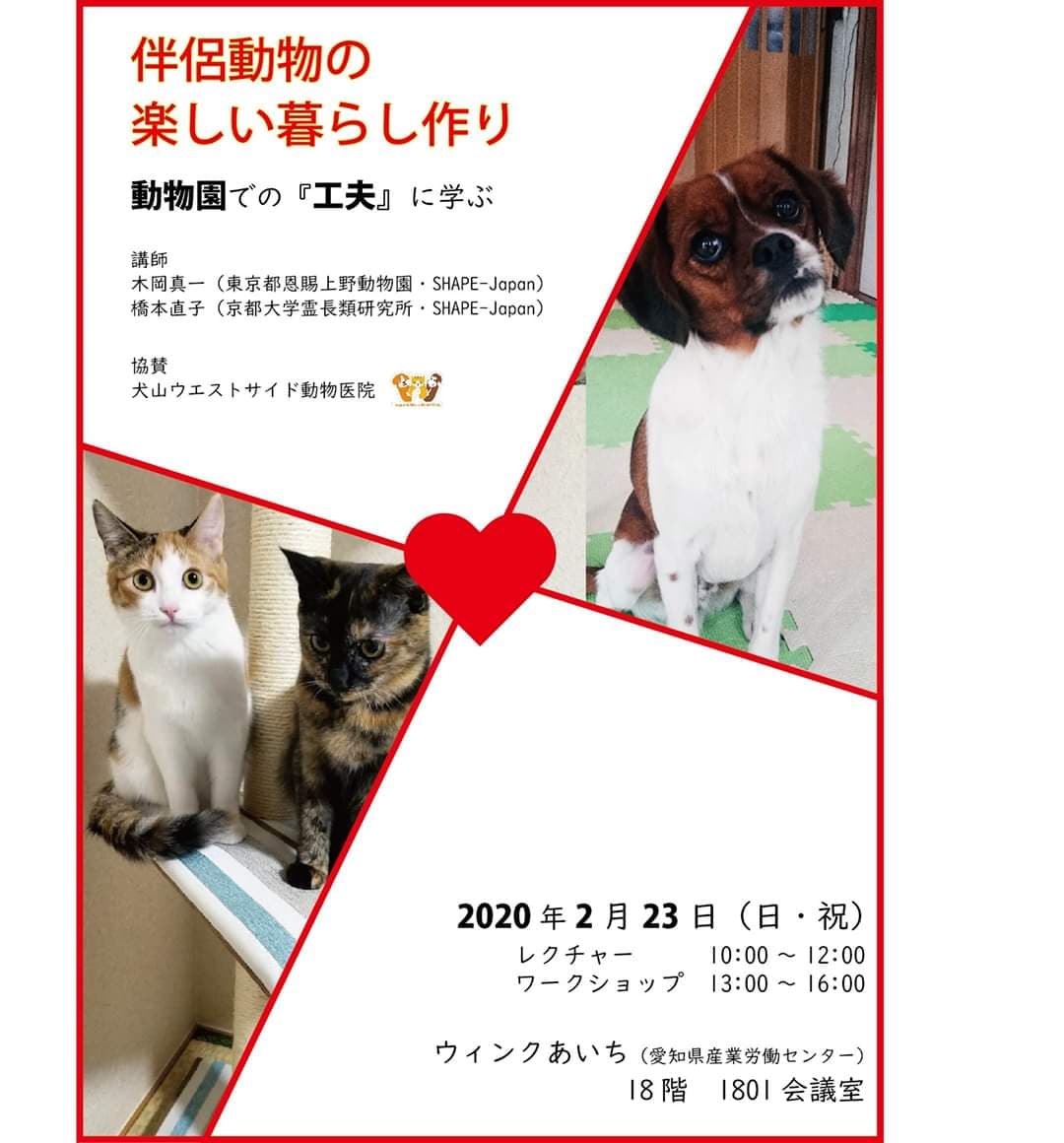 f:id:charliemama3:20200210215246j:plain