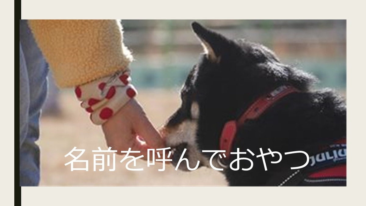 犬を落ち着かせるトリーツの渡し方 私は社会化のドッグトレーナー