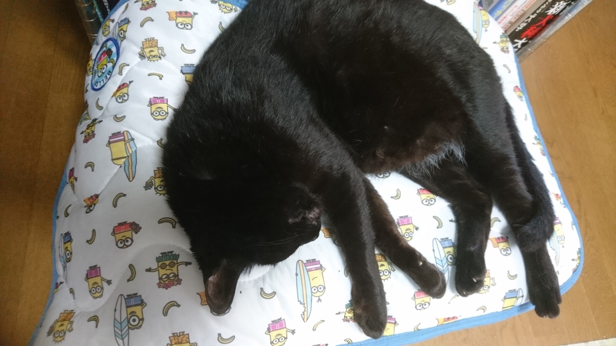 f:id:charliemama3:20210824201505j:plain