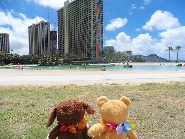 f:id:charlotte102:20171020123023j:plain f:id:charlotte102:20171020123023j:plain