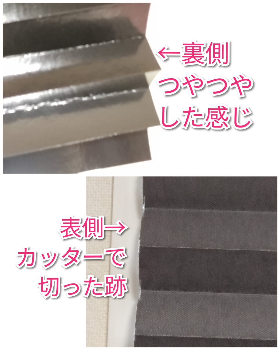 f:id:charm_h:20210202183457j:plain