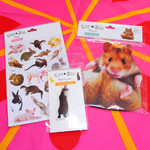 Can★DoのCan★Zooが可愛い Can★DoのCan★Zooが可愛い