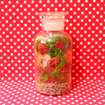 容器の瓶が可愛いフラワーボトル [ salut! ]