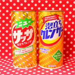 サッサクレンザーから泡立ちクレンザーへの変身 [ カネヨ ]