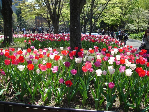 f:id:charry1000:20190508222325j:plain f:id:charry1000:20190508222325j:plain