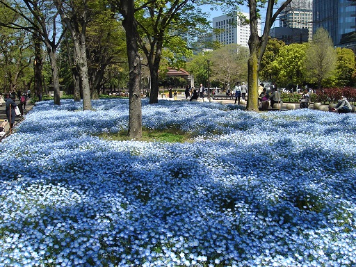 f:id:charry1000:20190508222339j:plain f:id:charry1000:20190508222339j:plain