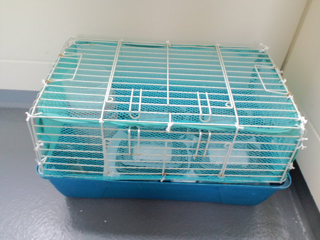 f:id:chart15304560:20180719150657j:plain f:id:chart15304560:20180719150657j:plain