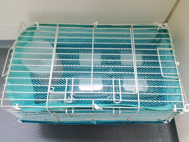 f:id:chart15304560:20180719150725j:plain f:id:chart15304560:20180719150725j:plain