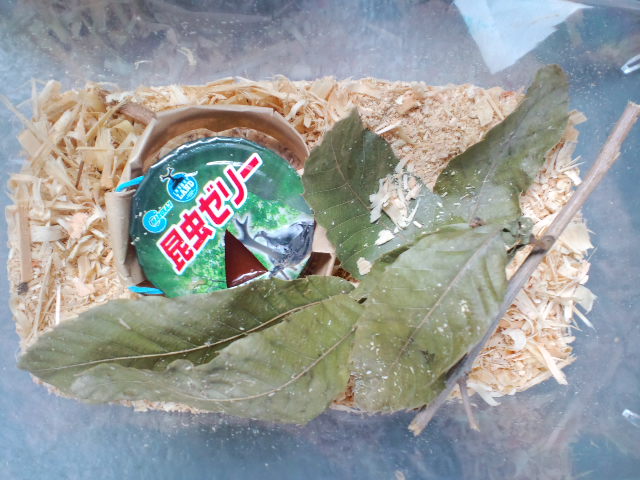 f:id:chart15304560:20180719173922j:plain f:id:chart15304560:20180719173922j:plain