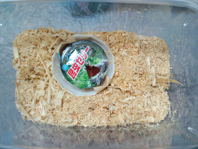 f:id:chart15304560:20180719173938j:plain f:id:chart15304560:20180719173938j:plain