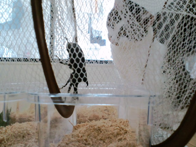 f:id:chart15304560:20180719181600j:plain f:id:chart15304560:20180719181600j:plain