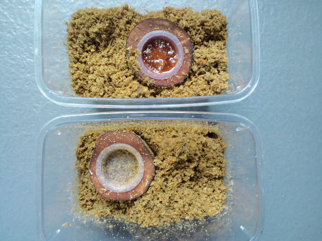 f:id:chart15304560:20180907210653j:plain f:id:chart15304560:20180907210653j:plain