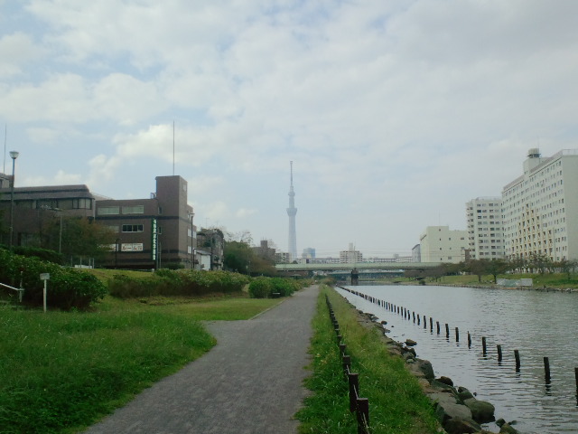 f:id:chart15304560:20181026185152j:plain