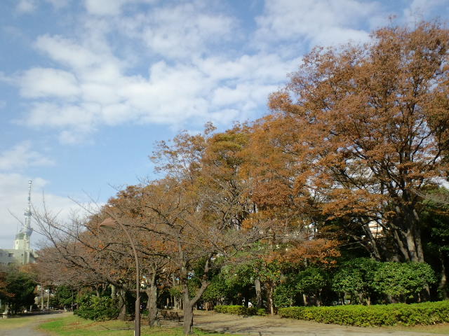f:id:chart15304560:20181118065335j:plain