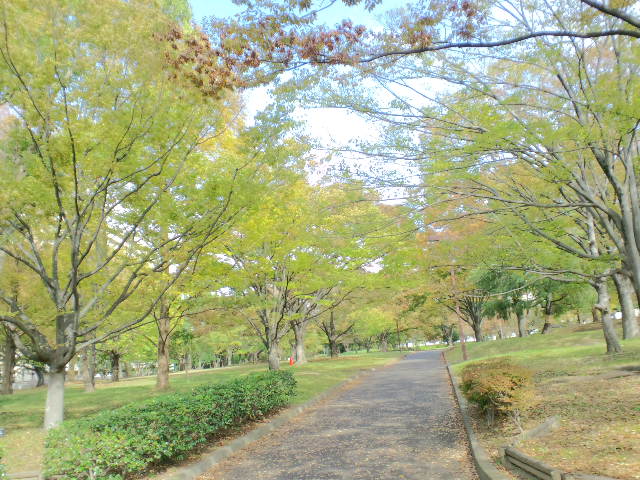 f:id:chart15304560:20181203082925j:plain