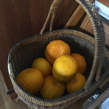 f:id:chas5480:20180109203236j:plain f:id:chas5480:20180109203236j:plain