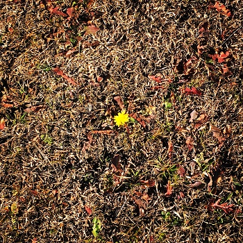 f:id:chas5480:20180109203819j:plain f:id:chas5480:20180109203819j:plain