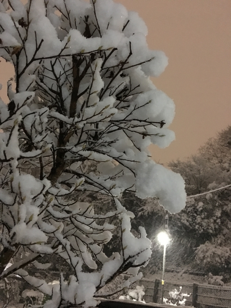 f:id:chas5480:20180122211323j:plain