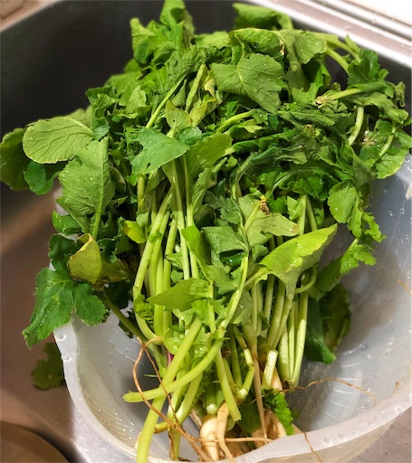 f:id:chas5480:20191029205117j:image f:id:chas5480:20191029205117j:image