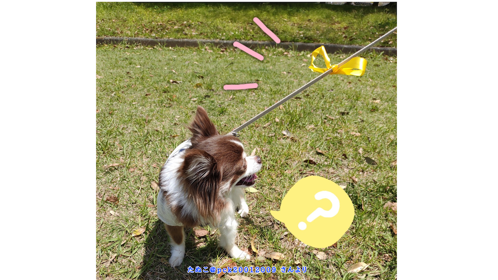 f:id:chasanx0424:20210705161854p:image